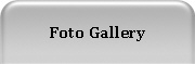 Foto Gallery