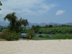 Nell’area GAC Sardegna Orientale arrivano tre bandi per corsi formativi News