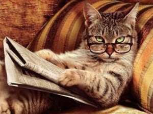 Suggestioni: La giornata del gatto. Arte & Cultura