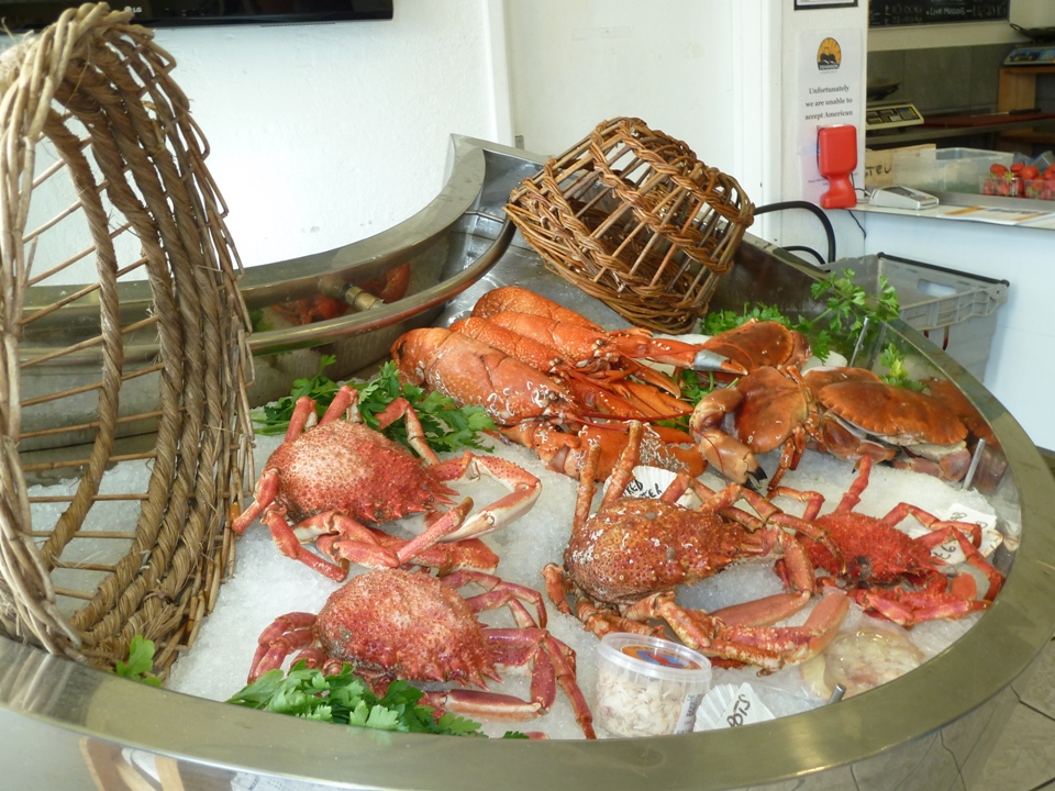 Crostacei della Cornovaglia (Foto GIanna Saba)