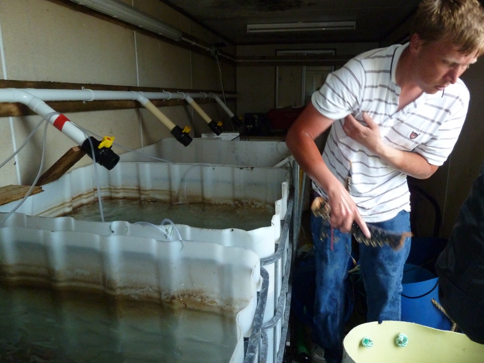 Il laboratorio di Astici (Foto Gianna Saba)