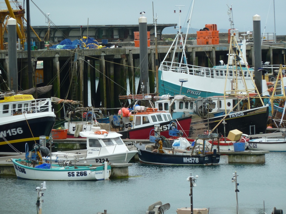 Newlyne (Foto Gianna Saba)