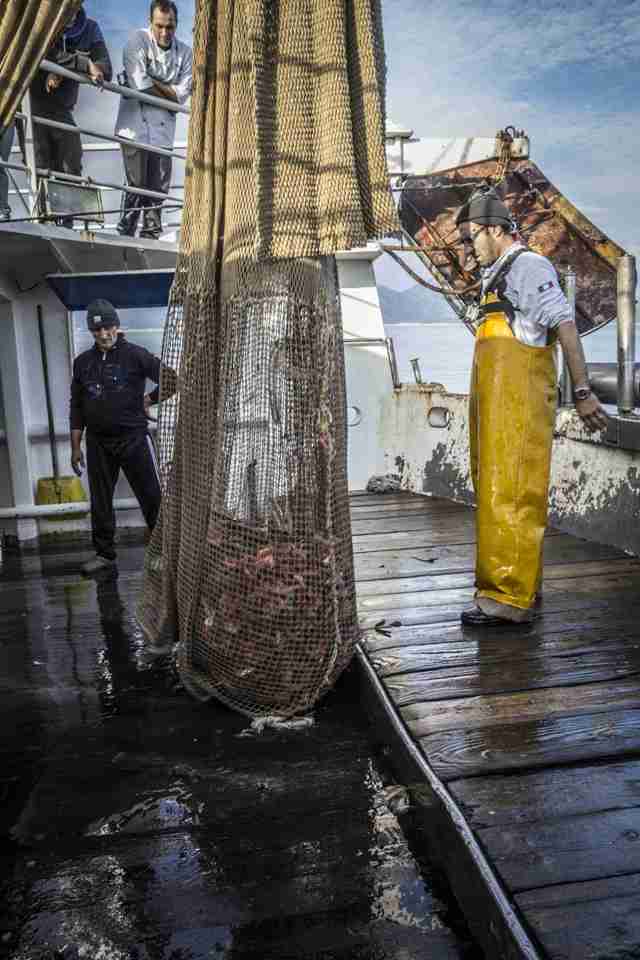 Battuta di pesca (Foto Salvatore D'Angelo)