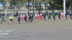 12784781_10207580305939710_1388545047_n