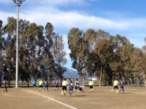 Giovanissimi Regionali Girone B: LaPalma M.U.-Gigi Riva 3-0 Calcio