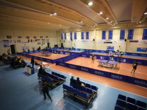 Tennistavolo Norbello: bilancio al di sotto delle più rosee aspettative Asd Tennistavolo Norbello