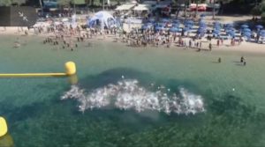 Nuoto acque libere Sardegna: tutto dagli Italiani FINP e FIN di Alghero Sport